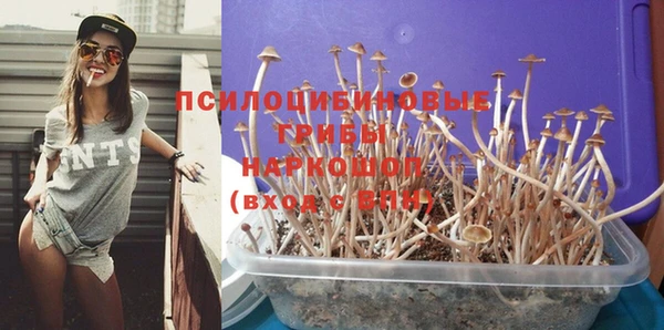 ALPHA-PVP Киреевск