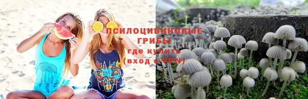 apvp Чердынь