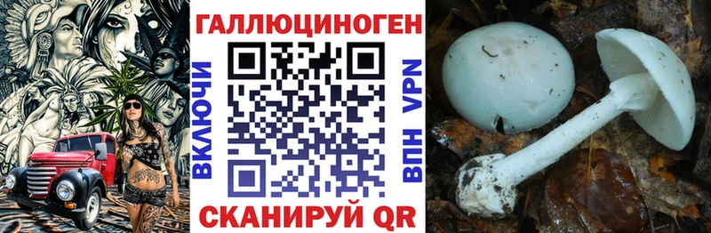 Галлюциногенные грибы GOLDEN TEACHER Малгобек