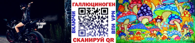 Псилоцибиновые грибы MAGIC MUSHROOMS где купить наркотик Малгобек
